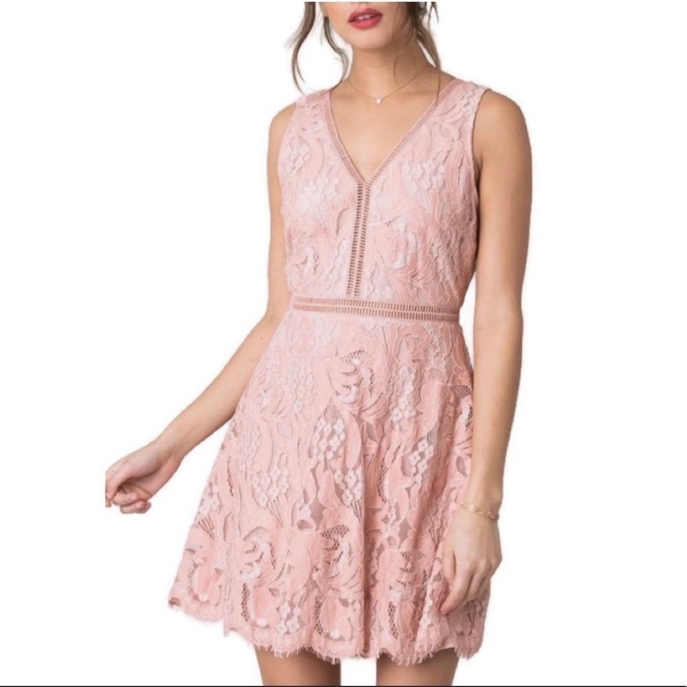 Black Swan Rose V-Neckline Sleeveless Lace Dress  Size S NWT